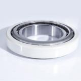 FAG Ceramic Coating NU220-E-TVP2-J20AA-C3 Insocoat bearing